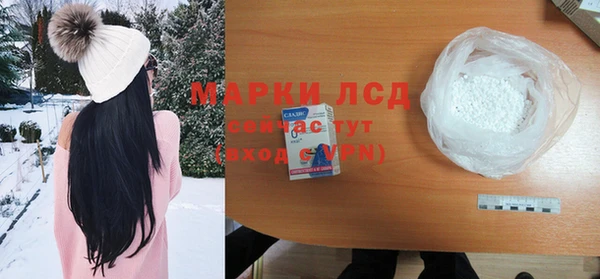 стаф Алексин