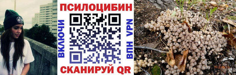 Галлюциногенные грибы Psilocybine cubensis  Купить  Себеж 